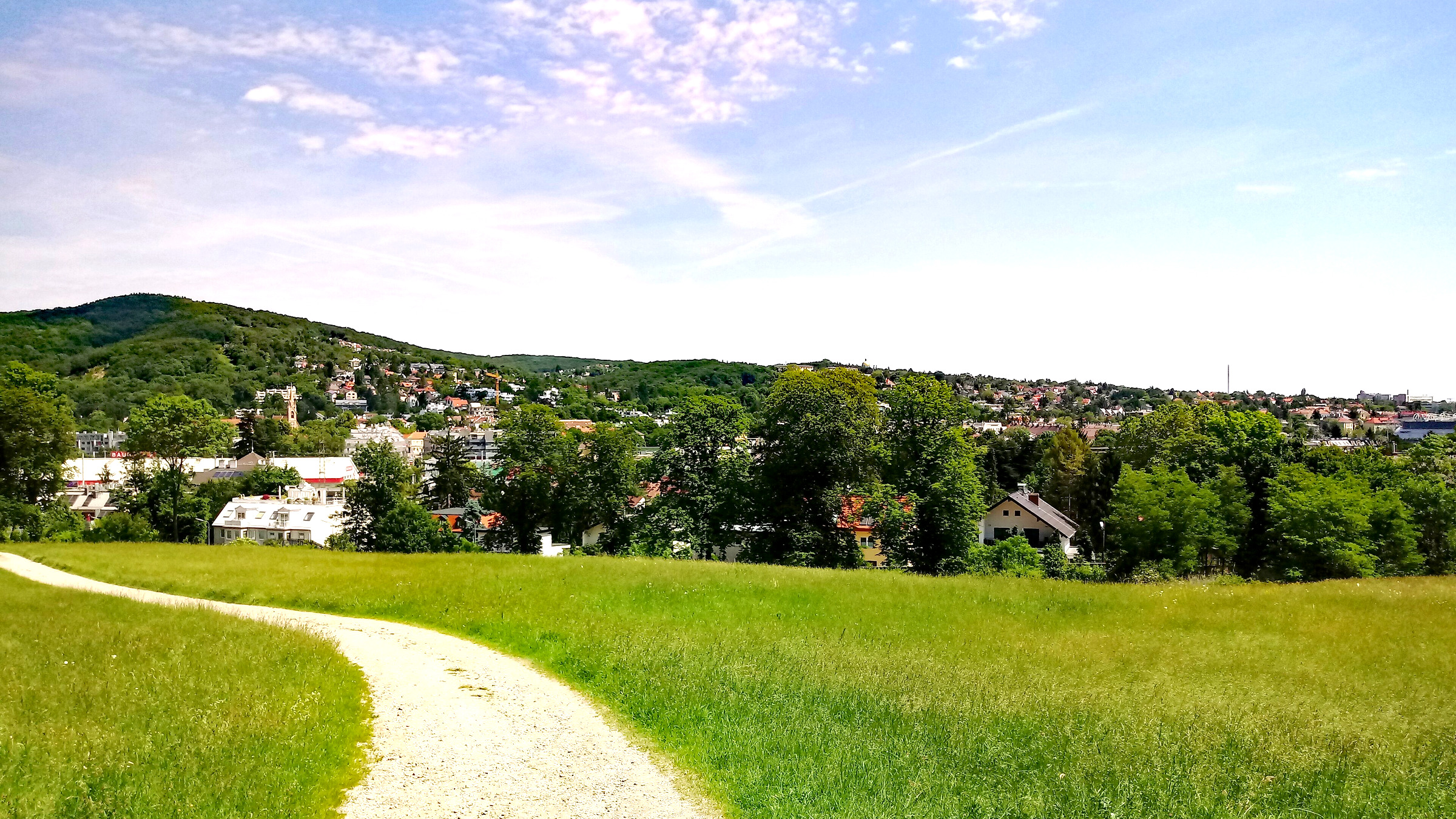 Wohnlagen in Wien-Hütteldorf mit grüner Umgebung im Westen der Stadt